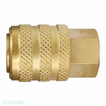 AMFLO Grip-Tite Chuck 1/4in FNPT Steel, 41AA49