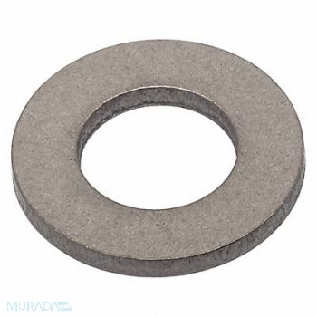 GRAINGER APPROVED FltWsh Plain Titanium M12 24x2.70mm 5PK, 420N13