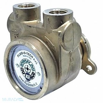 FLUID-O-TECH Pump 3/8 NPTF 144 Max GPH SS, 423J91