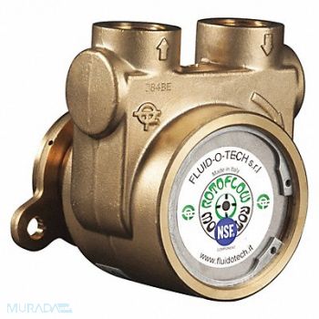 FLUID-O-TECH Pump 1/2 NPTF 232 Max GPH Brass, 423J93