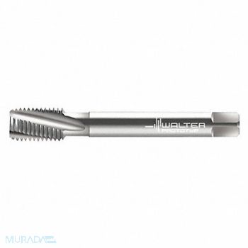 WALTER PROTOTYP Pipe/Conduit Thread Tap 3/8 -19 HSS, 427G20