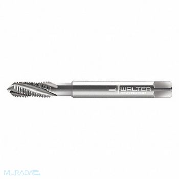 WALTER PROTOTYP Spiral Flute Tap #8-36 HSS, 427F36