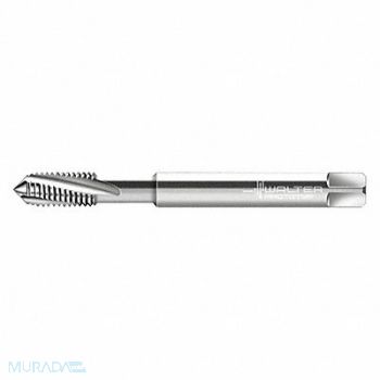 WALTER PROTOTYP Spiral Flute Tap #6-40 HSS, 427F56