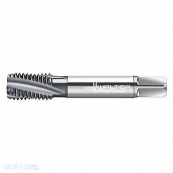 WALTER PROTOTYP Spiral Flute Tap 7/8 -14 HSS, 427T67