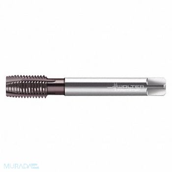 WALTER PROTOTYP Pipe/Conduit Thread Tap 5/8 -14 HSS-E, 428H73