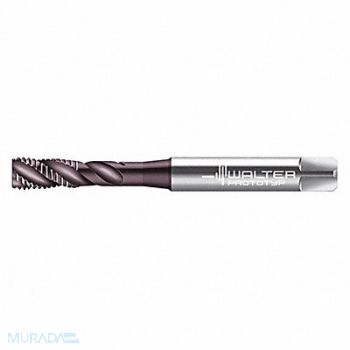 WALTER PROTOTYP Spiral Flute Tap 5/16 -18 HSS, 427W28