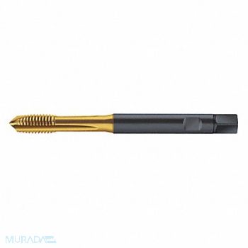 WALTER PROTOTYP Spiral Point Tap M8x1.25 HSS, 429C95