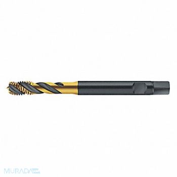 WALTER PROTOTYP Spiral Flute Tap #4-40 HSS-E, 427X09