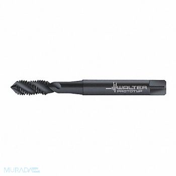 WALTER PROTOTYP STI Tap #10-32 HSS, 428P49