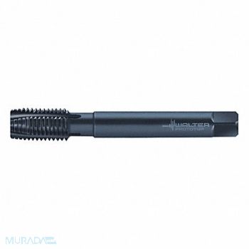 WALTER PROTOTYP Pipe/Conduit Thread Tap 3/8 -19 HSS-E, 428P89