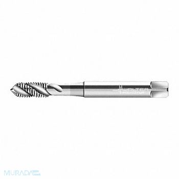 WALTER PROTOTYP STI Tap M8x1.25 HSS, 428R19