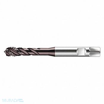 WALTER PROTOTYP Pipe/Conduit Thread Tap 3/8 -19 HSS, 429F14