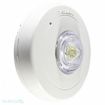 FIRST ALERT Strobe Light 120V AC Hardwired, 429J53