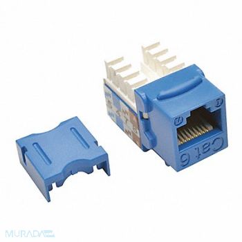 TRIPP LITE Keystone Jack Cat6/Cat5e 110 Punch Blue, 43LU67