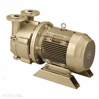 DEKKER VACUUM TECHNOLOGIES INC. Liquid Ring Vacuum Pump 1 Stage 75 cfm, 443X49