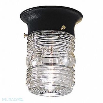 PROGRESS LIGHTING Canopy Light Incandescent 60W, 44MG51