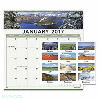 AT-A-GLANCE Wall Calendar Monthly Landscape, 44NP96