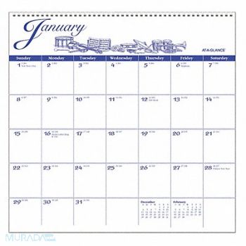 AT-A-GLANCE Wall Calendar Illustrators Edit Yearly, 44NR45