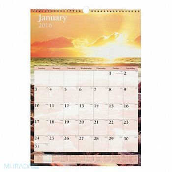 AT-A-GLANCE Wall Calendar Monthly 12 X17 Scenic, 44NR33