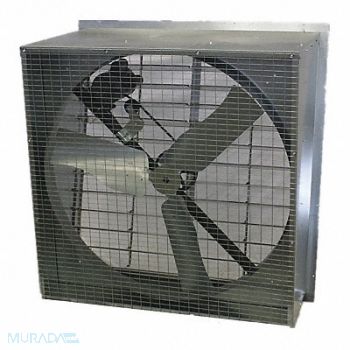 DAYTON Agr ExhFn 48In Bl Galv Steel 115/230V, 44YU14