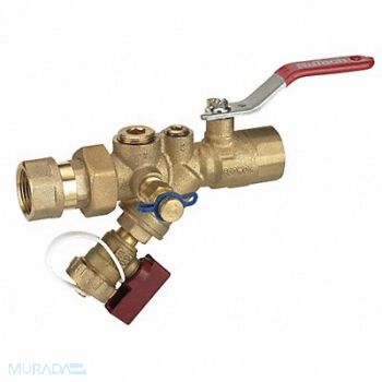 NUTECH Combination Strainer Valve 2 In FNPT, 44Z309