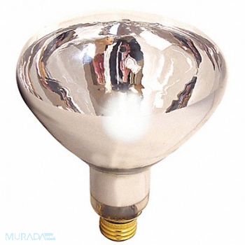 SATCO Incandescent Bulb R40 300 lm 125W, 451F96