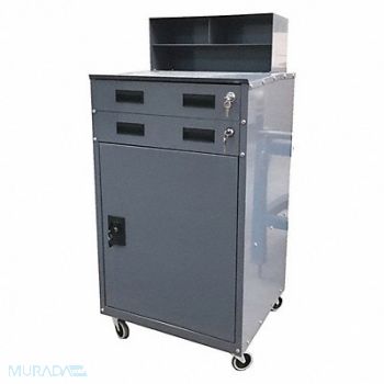 GRAINGER APPROVED Cabinet 48 x23 x20 Gray Mbl, 453J52