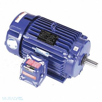 MARATHON MOTORS Motor 10 HP 1765 rpm 215T 230/460V, 454X77