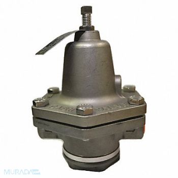 CASH VALVE Steam Pressure Regulator 20 to 60 psi, 457A38