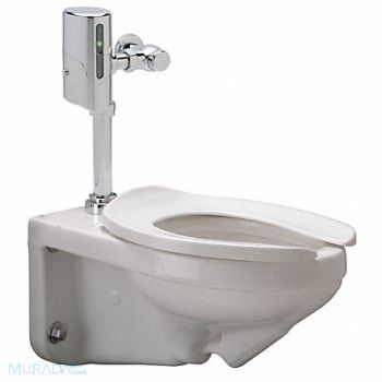 ZURN Flush Valve Toilet 11-1/2 Rough-In Wall, 46CD74
