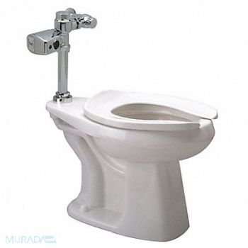 ZURN Bedpan Flush Valve Toilet 10 Rough-In, 45A139