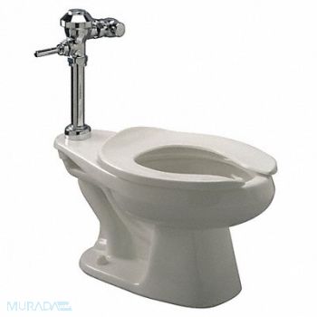 ZURN Bedpan Flush Valve Toilet 10 Rough-In, 45A140