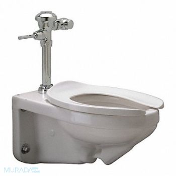 ZURN Toilet 5-1/4 7-1/4 9-1/4 Rough-In, 45A153