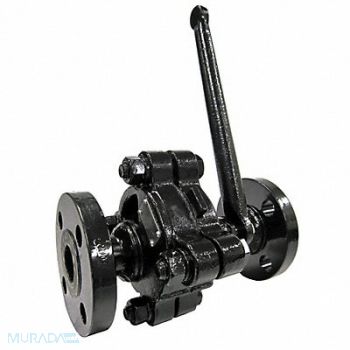 UNITED BRASS WORKS Gate Valve 2 in Flange Carbon Steel, 45A314