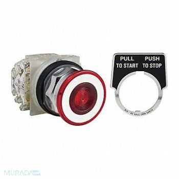 SCHNEIDER ELECTRIC Non-Illuminated Push Button 30mm Metal, 45C535