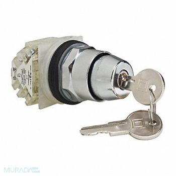 SCHNEIDER ELECTRIC Non-Illum Selectr Switch 2P Chrome Cam E, 45C538