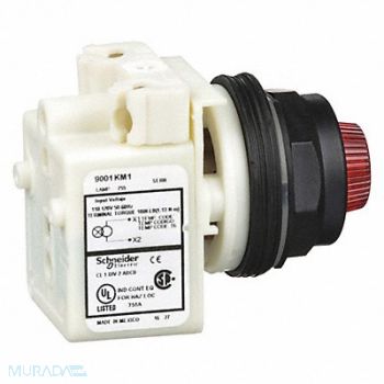 SCHNEIDER ELECTRIC Pilot Light Incan Red 110-120V, 45C606