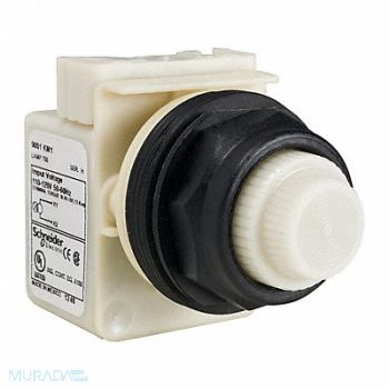 SCHNEIDER ELECTRIC Pilot Light Incan White 110-120V, 45C607