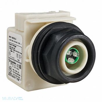 SCHNEIDER ELECTRIC Pilot Light LED Green 120VAC/DC No Lens, 45C621