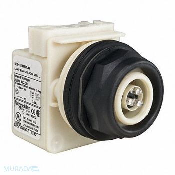 SCHNEIDER ELECTRIC Pilot Light LED White 120VAC/DC, 45C626