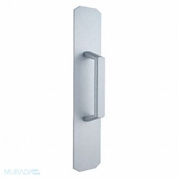 BEST Dummy Trim Pull Silver Standard Duty, 45CK29