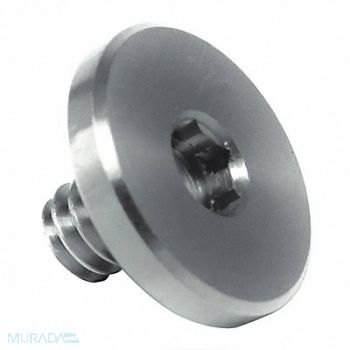 GRAINGER APPROVED Binding Screw 316SS 1/4 -20 1/2 L, 45GF28