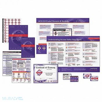 LABELMASTER Training DVD Workplace Safety Spanish, 45H616