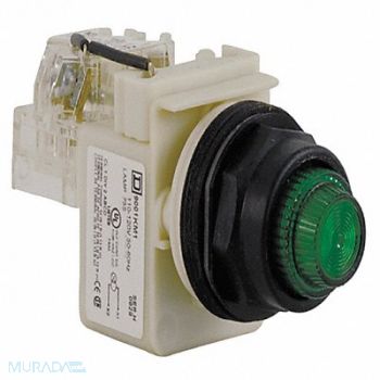 SCHNEIDER ELECTRIC Push to Test Pilot Light Green Incand, 45J182