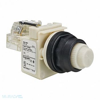 SCHNEIDER ELECTRIC Push to Test Pilot Light White Incand, 45J184