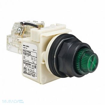 SCHNEIDER ELECTRIC Push to Test Pilot Light Green Incand, 45J185