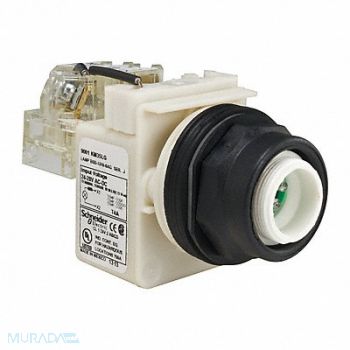 SCHNEIDER ELECTRIC Push to Test Pilot Light Green LED, 45J186