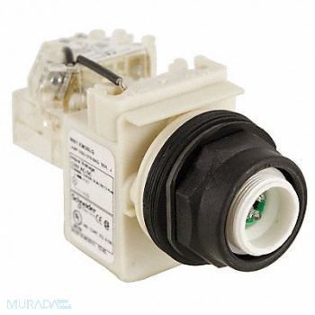 SCHNEIDER ELECTRIC Push to Test Pilot Light Green LED, 45J192