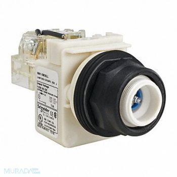 SCHNEIDER ELECTRIC Push to Test Pilot Light Blue LED, 45J194