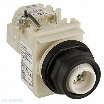 SCHNEIDER ELECTRIC Push to Test Pilot Light White LED, 45J197